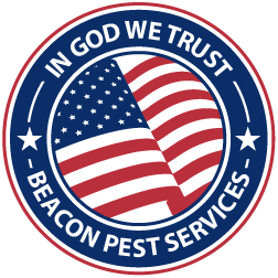 In God We Trust